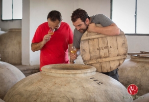 Nace '3 Miradas' de la mano de Alvear y Env&iacute;nate