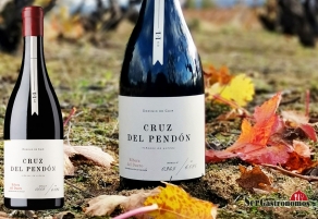 Sale al mercado Cruz del Pend&oacute;n 2014