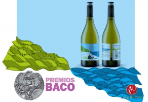 Vi&ntilde;amar 2016 premiado con el Baco de Oro