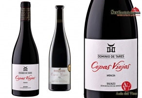 Dominio de Tares cumple 20 a&ntilde;os