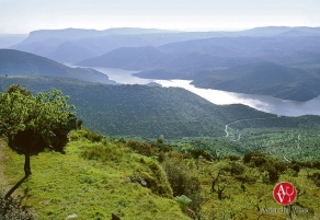 Todo listo para el acontecimiento vit&iacute;cola del Duero