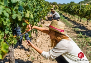 Torres premiada por sus experiencias enotur&iacute;sticas