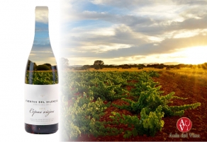 Cepas Viejas 2015, vino aut&oacute;ctono de Le&oacute;n