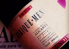 E.Mendoza Pinot Noir 2008