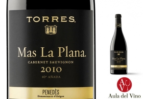 40 a&ntilde;adas de Mas La Plana