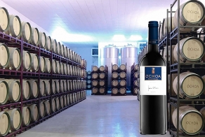 Ochoa Reserva 2007, medalla de oro Bacchus