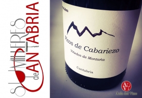 Sumilleres convocan los Premios Optimum 2016