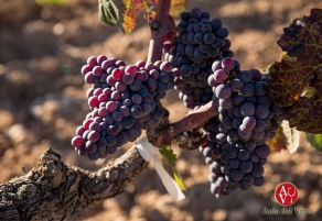Torres recupera la moneu para el Pened&egrave;s