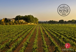 Torres, la marca de vinos m&aacute;s admirada del mundo