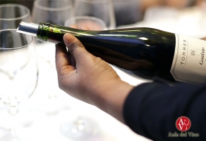 Torres y sus uvas de variedades prefilox&eacute;ricas