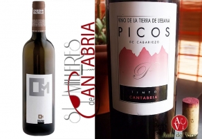 Casona Micaela y Picos de Cabariezo, Premios Optimun 2015