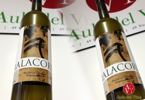 Malacoria, la primera etiqueta de Pablo Oria