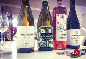 Dominio de Tares, car&aacute;cter leon&eacute;s