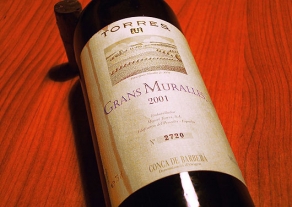 Cata serena mediterr&aacute;nea