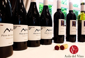 Cantabria, tierra de tintos