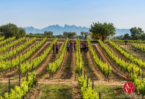 Torres, premio a la Experiencia tur&iacute;stica