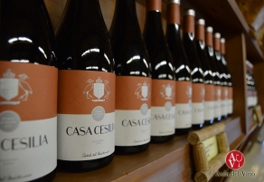 Casa Cesilia Roble, Plata en los Premios Ecovino