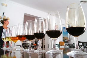 Vinos de tiempo y paciencia