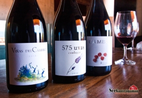 C&aacute;mbrico, vino de la sierra