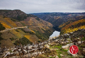 Ribeira Sacra vence en vinos de monta&ntilde;a