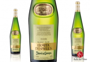 Juv&eacute; &amp; Camps estrena nuevos vinos ecol&oacute;gicos