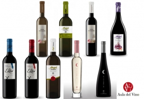 Pagos de Leza crece: &Aacute;ngel Santamar&iacute;a, Editor y PNumbra