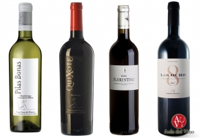 Vinos de Pago en The Art of Living Frigicoll de Madrid