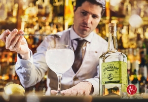 Pisco El Gobernador y Torres Brandy